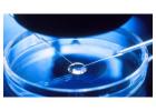 IVF (In Vitro Fertilization) Treatment in USA