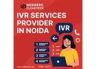  IVR services provider in Noida