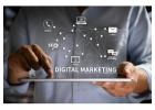 SEO or Google Ads? Choosing the Right Marketing Channel for Your Startup