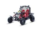 Dune Buggy For Sale | MotoBuys