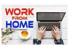  US Medical form filling project available call us 7708244092