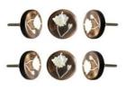 Buy Durable Wooden Knobs for Home Decor at Perilla Home
