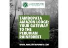 Tambopata Amazon Lodge: Your Gateway to the Peruvian Rainforest