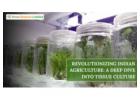 Revolutionizing Indian Agriculture: A Deep Dive into Tissue Culture