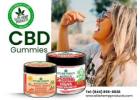 Power CBD Gummies – Energy in Every Bite