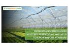 Hydroponic Greenhouses: Revolutionizing Farming in India