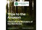 Trips to the Amazon: Discover the Wonders of the Rainforest