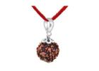 5 Mukhi Rudraksha – Path to Spiritual Growth