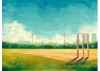 Buy from Leading Cricket Turf Manufacturer - Order Now