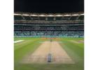 Best Cricket Turf Manufacturer - Contact Us Now