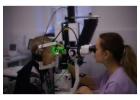 Expert Laser Glaucoma Surgery & Treatment in Westchester