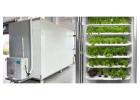 Seed Storage Solutions for Best Practices in Preserving Seed Quality and Longevity