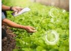 All-in-One Grower Management Software for Greenhouse Operations & Plant Nursery