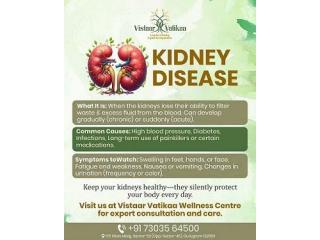 Understanding Kidney Disease: Causes, Symptoms, and Ayurvedic Healing at Vistaar Vatikaa Understanding Kidney Disease: Causes, Symptoms, and Ayurvedic Healing at Vistaar Vatikaa