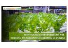 Why Are Young Entrepreneurs Turning to Aeroponics Farming in Punjab?