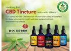 Premium CBD Tincture with Delta-8 – Natural Balance & Calm