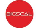 Bigscal The Ultimate Software Development Company