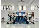 Start Your Fitness Journey with Expert Yoga Classes