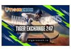 Tiger Exchange 247: Play at Cricket Bet Tiger Exchange
