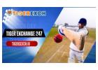 Tiger Exchange 247: Play cricket at Tiger Exchange