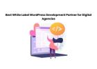 Best White Label WordPress Development Partner for Digital Agencies