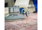 Get Fast Drying Times with Carpet Cleaning Services Adelaide