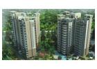 Buy Flats in Gurgaon with Naveen Associates