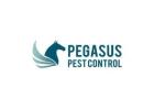 Pegasus Pest Control