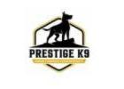 Prestige K9 Fort Worth Dog Training