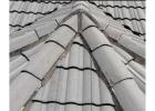 Prevent costly repairs, due to moss or algae growth with holistic Roof Cleaning SA