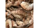 Fresh Shrimp For Sale Online
