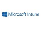 Microsoft Intune Partner