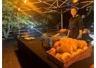 Hog roast suppliers York