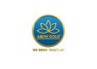 Invest in Digital Gold With AIIONGOLD Safe & Easy