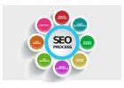Freelance SEO Service 