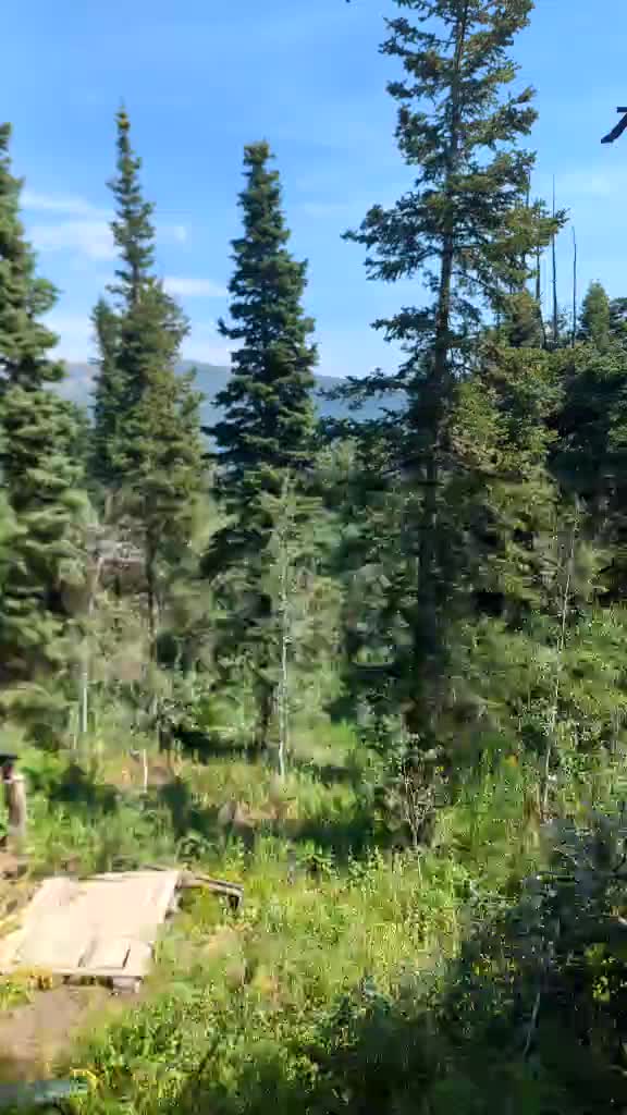Livestream